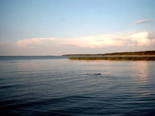 Haffblick am Strand zeigt Blick auf das Stettiner Haff vom Strand aus